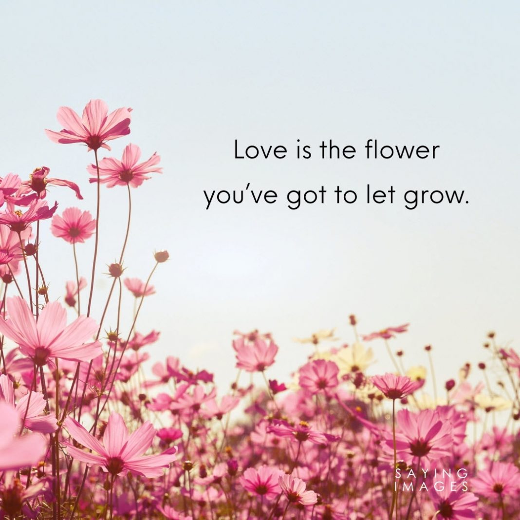 35 Beautiful Flower Quotes to Celebrate Life, Hope, and Love