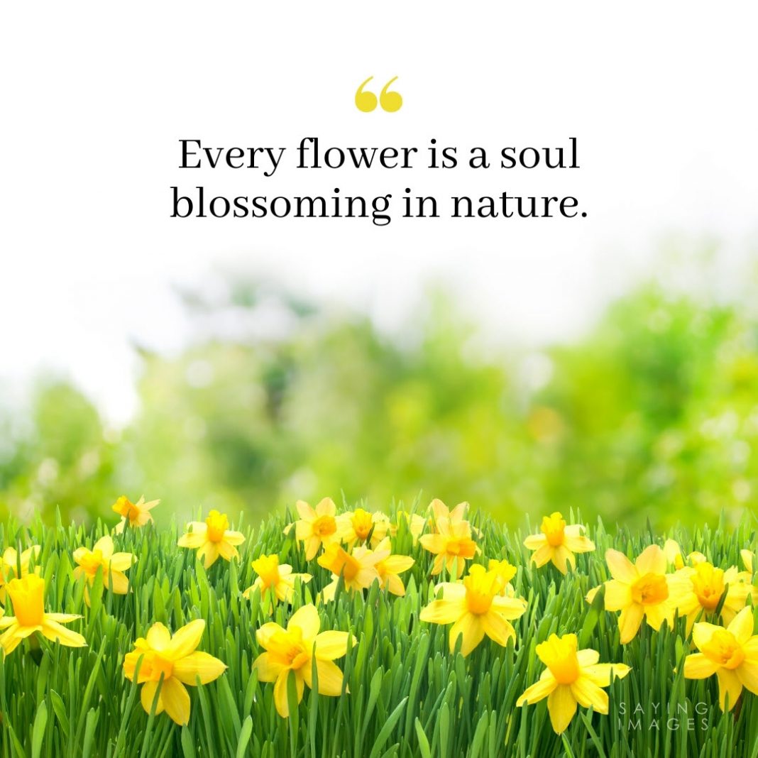 Beautiful Quotes About Flowers And Love