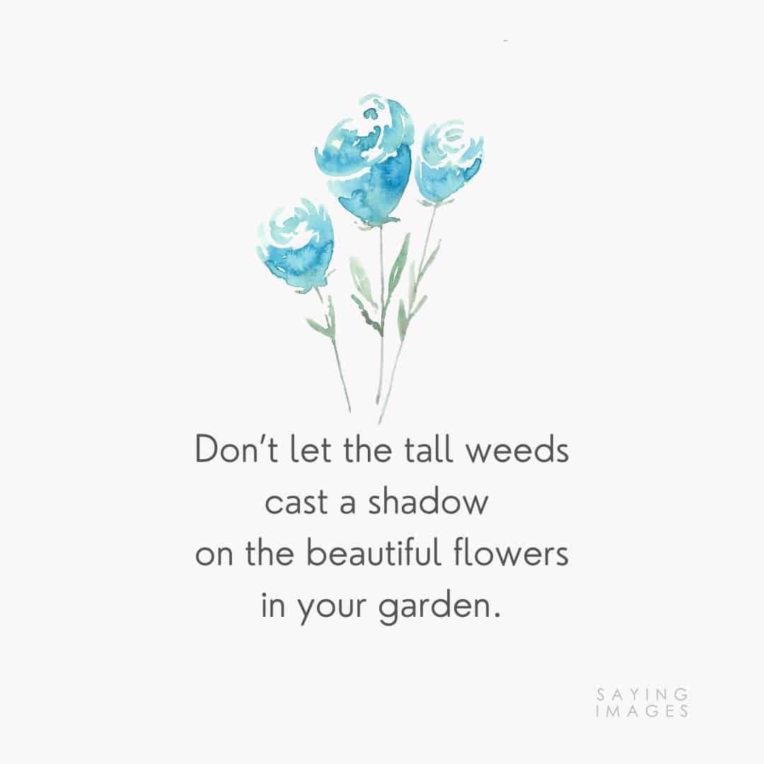 flower weeds quotes