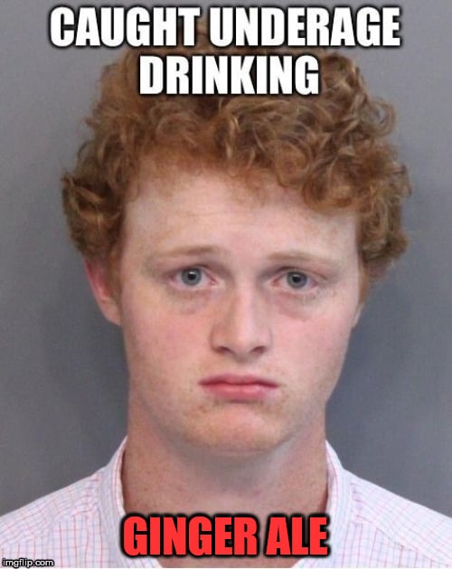 ginger ale meme