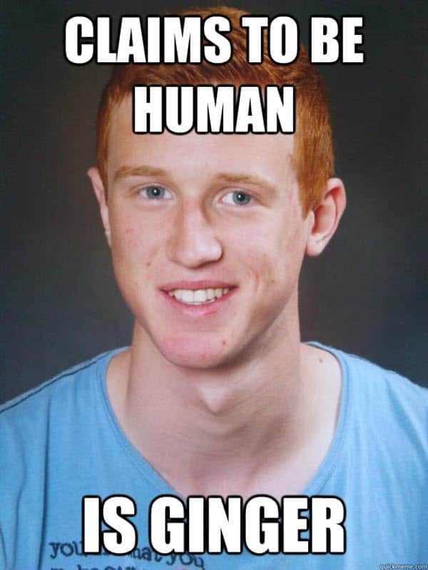 30 Ginger Memes That Are Way Too Witty