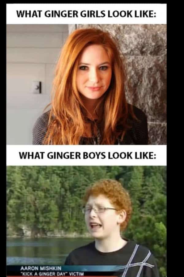 ginger girls meme