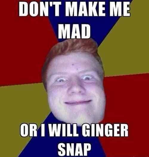 ginger snap meme