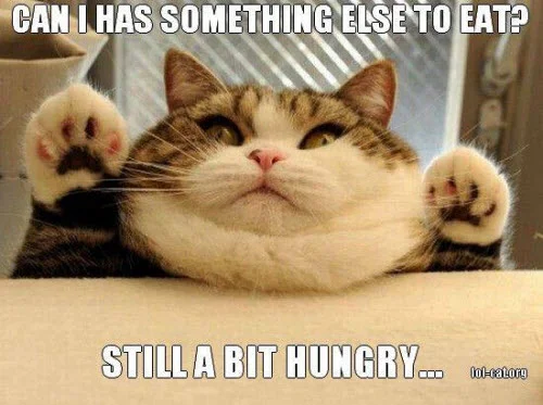 hungry something else to eat meme