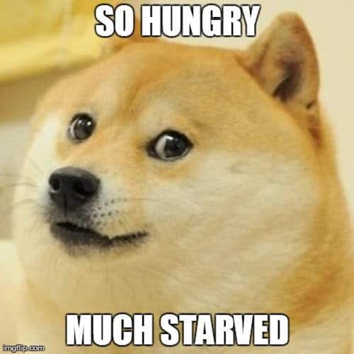hungry starved meme