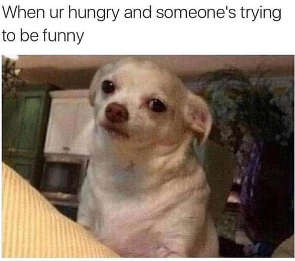 hungry trying to be funny meme