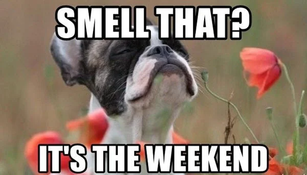 its the weekend smell that meme
