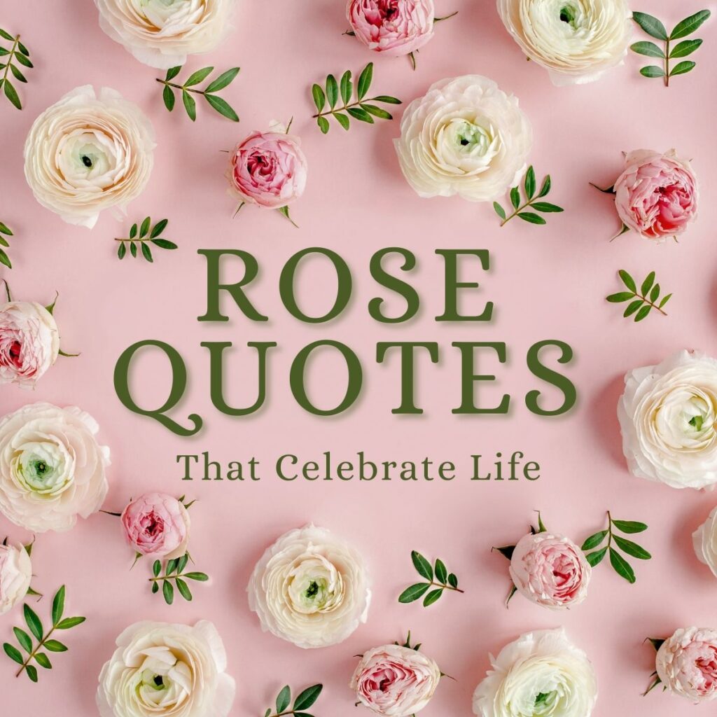 35 Amazing Roses Quotes That Celebrate Life's Beauty - SayingImages.com