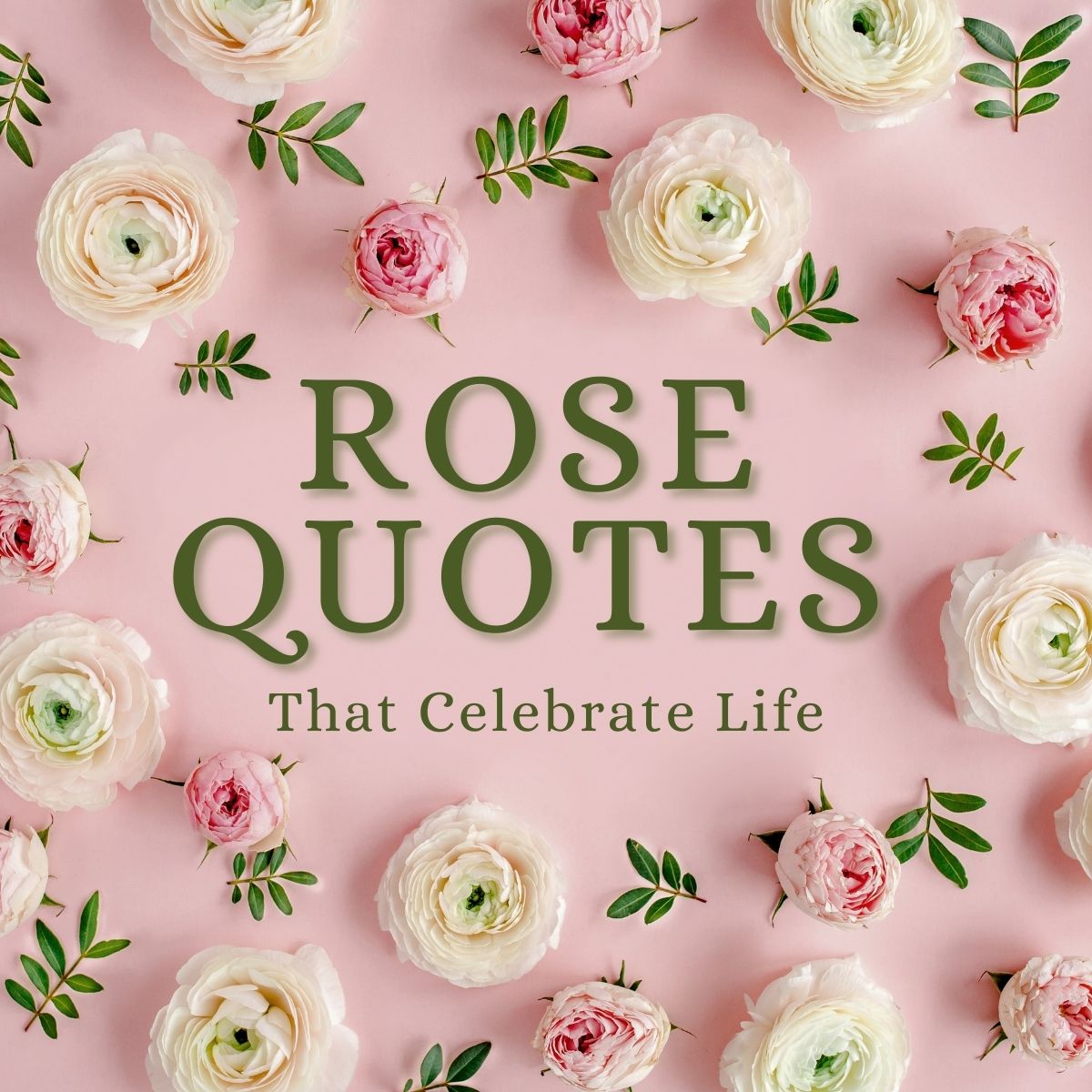 35 Amazing Roses Quotes That Celebrate Life's Beauty