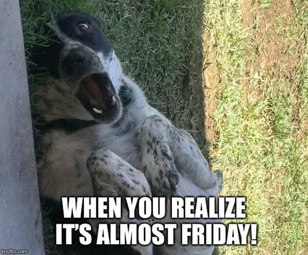 almost friday when you realize meme