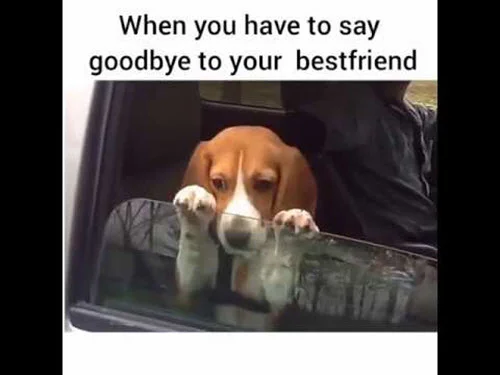 best friend say goodbye memes