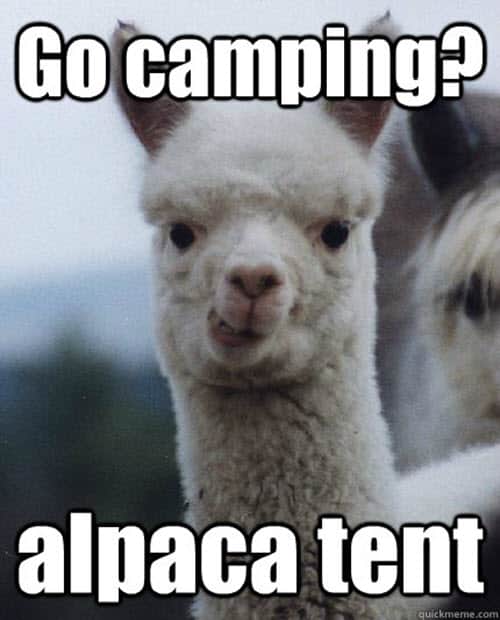 camping go memes