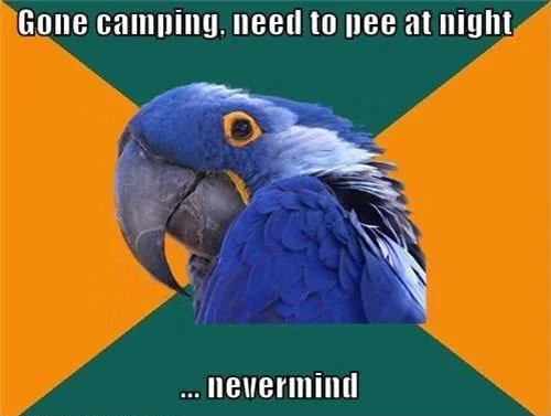 camping gone memes
