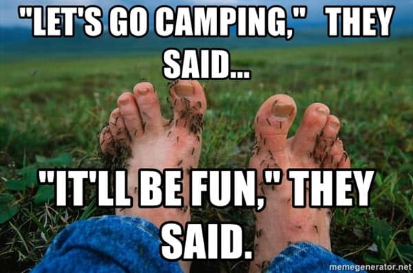 camping it wil be fun memes