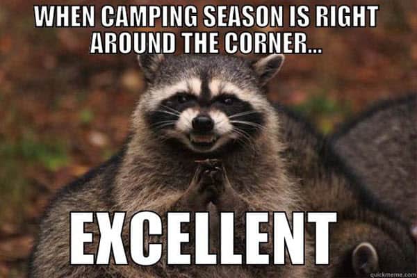 camping season memes