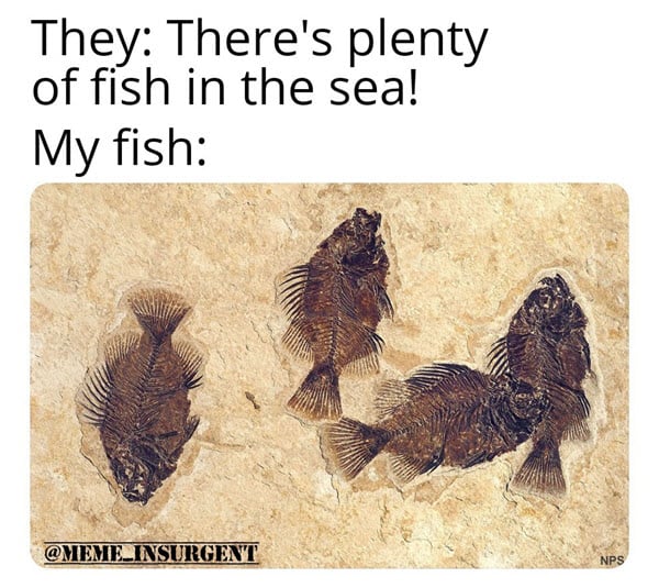 dating plenty of fish in the sea memes