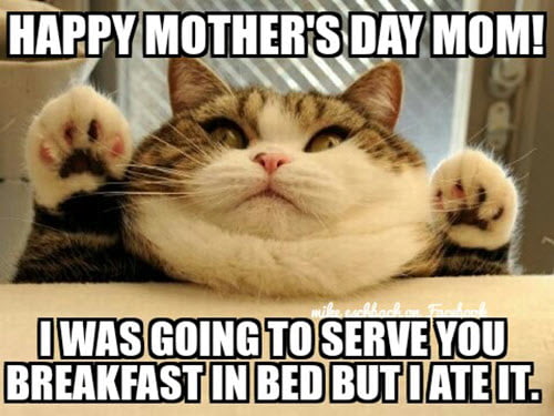 happy mothers day breakfast meme