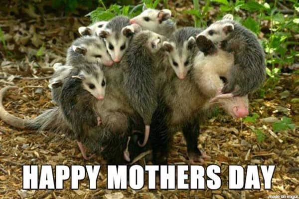 happy mothers day memes