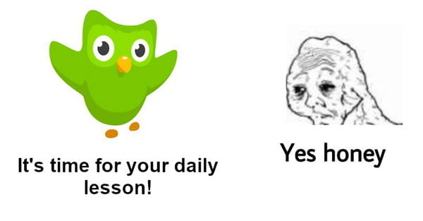 yes honey duolingo meme