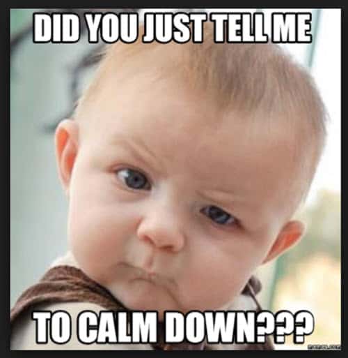 Top 25 Calm Down Memes Everybody's Sharing - SayingImages.com