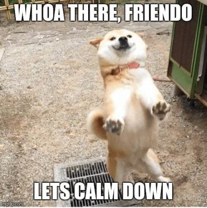 Top 25 Calm Down Memes Everybody's Sharing - SayingImages.com
