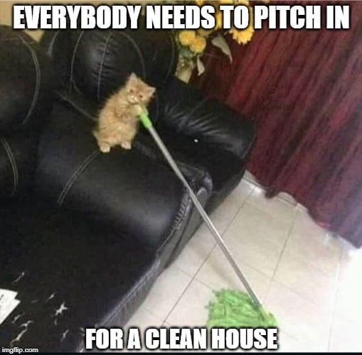 cleaning everybody needs to pitch in meme