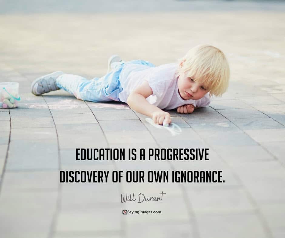 education ignorance quotes