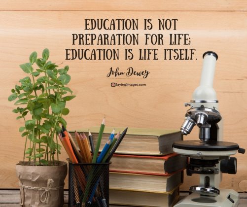 30 Education Quotes That Will Inspire You to Seek and Discover