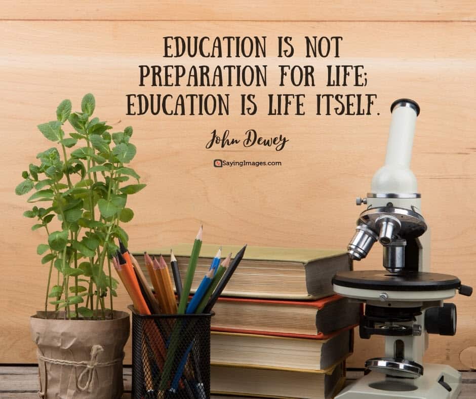 education life quotes