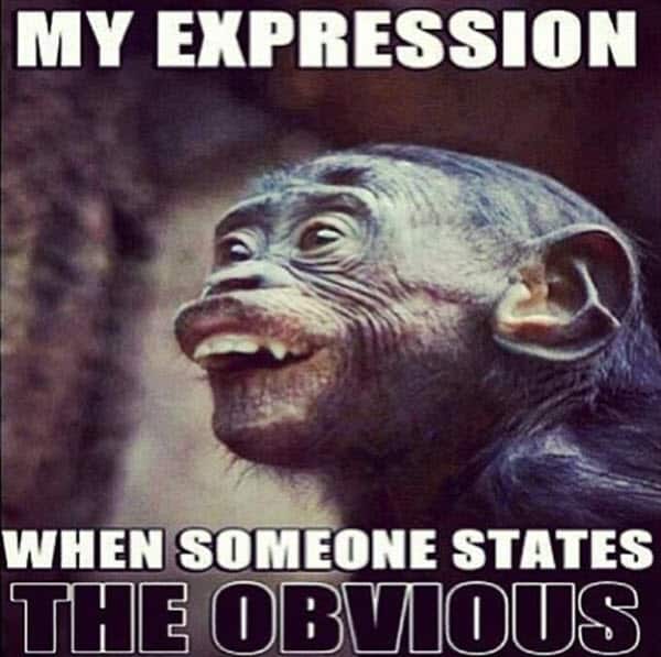 funny monkey expression memes