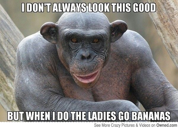 funny monkey i dont always look good memes