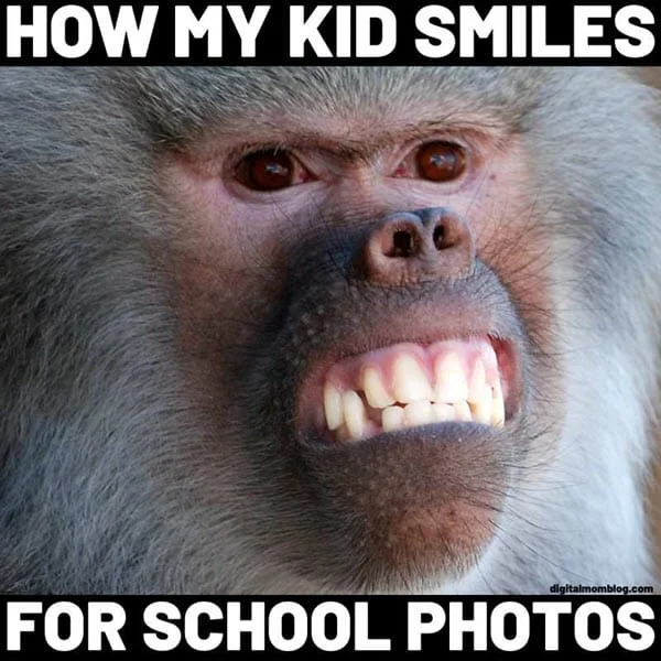 funny monkey school photo memes
