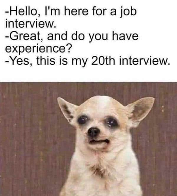 job interview 20th imterview meme