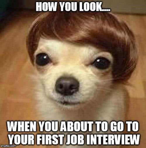 job interview how you look meme