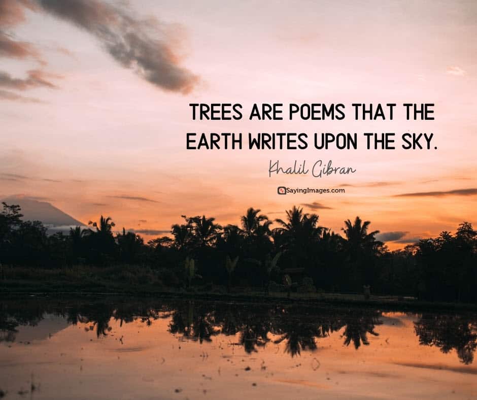 tree poems quotes