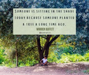 30 Tree Quotes Reminding Us the Power and Beauty of Trees