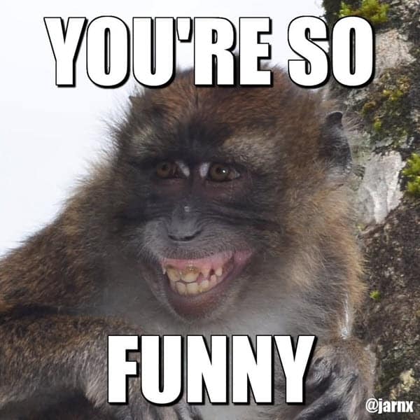 youre so funny monkey memes