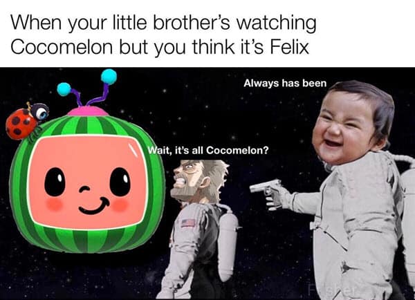 cocomelon brother thinks meme