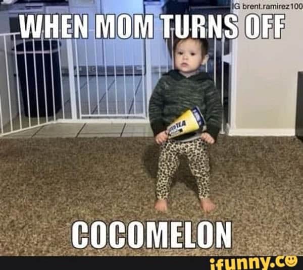 CocoMelon Meme