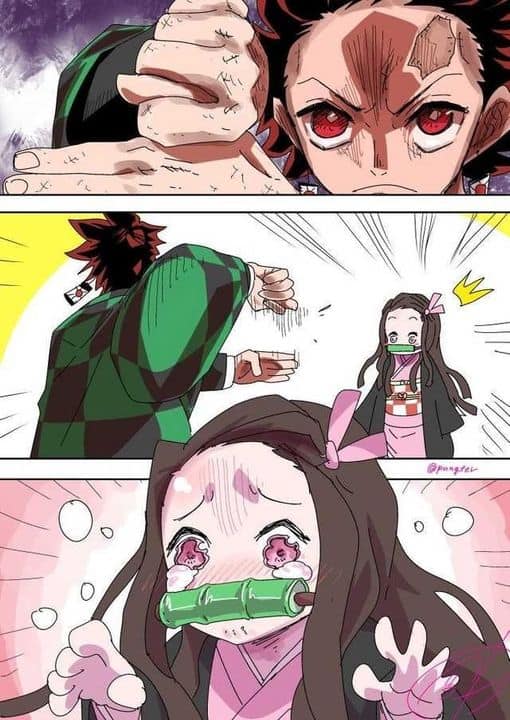 demon slayer memes tanjiro tricks nezuko