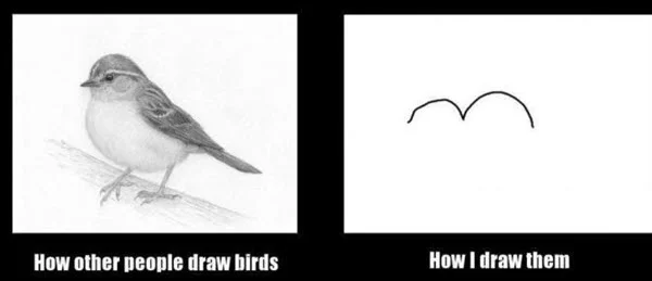 drawing bird meme