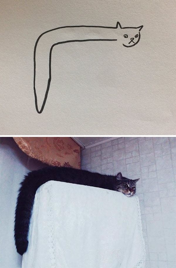 drawing cat meme