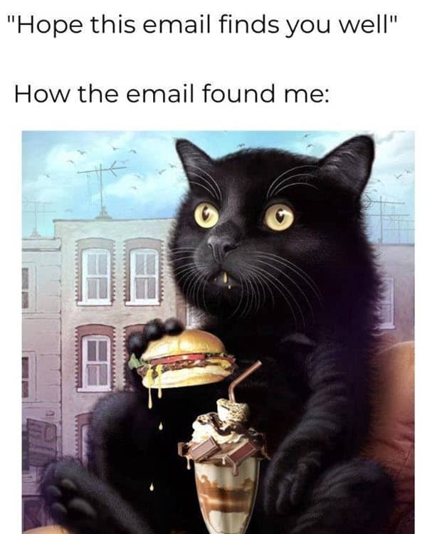 hope this email finds you well binging memes