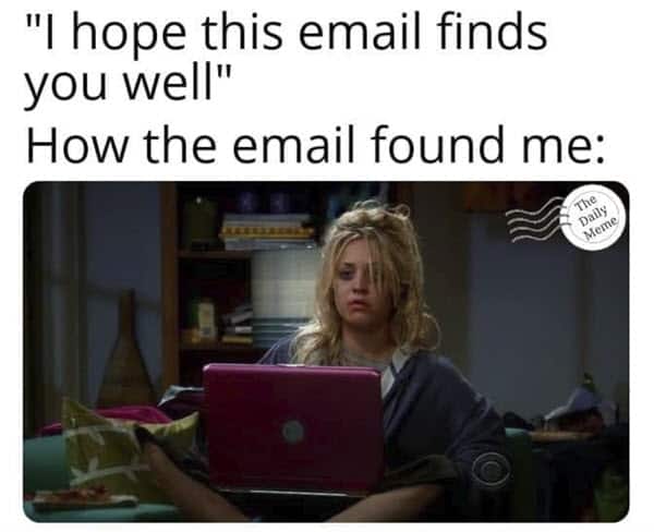 hope this email finds you well cry memes