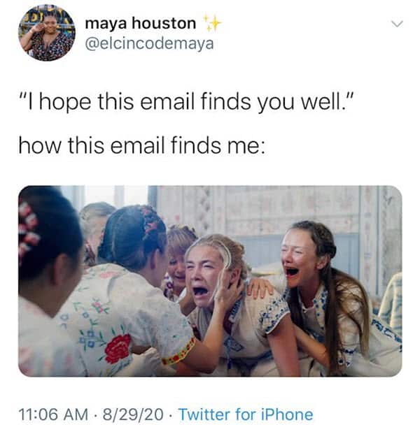 hope this email finds you well crying memes