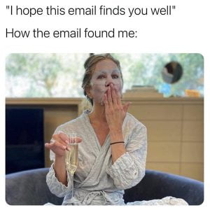 25 Hilarious Hope This Email Finds You Well Memes - SayingImages.com