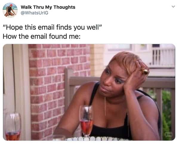 25 Hilarious Hope This Email Finds You Well Memes - SayingImages.com