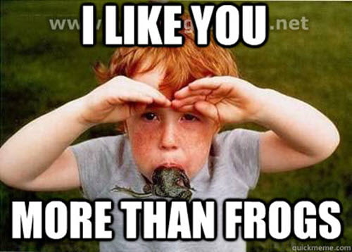 i like you meme more than frogs