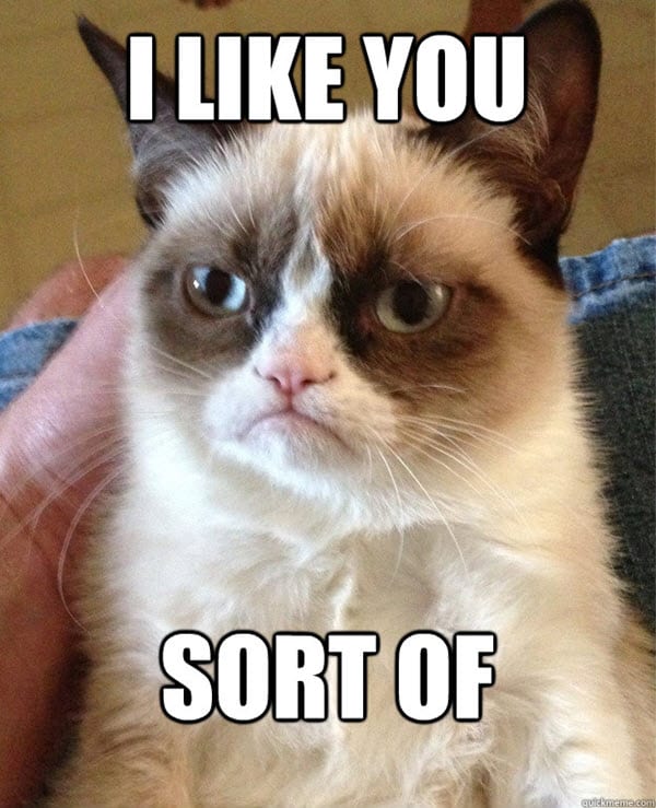 i like you meme sort of