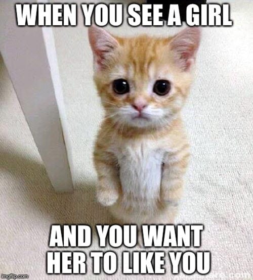 i like you when you see a girl meme